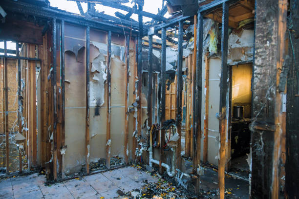 Professional Odor Removal technician working in Monticello, WI